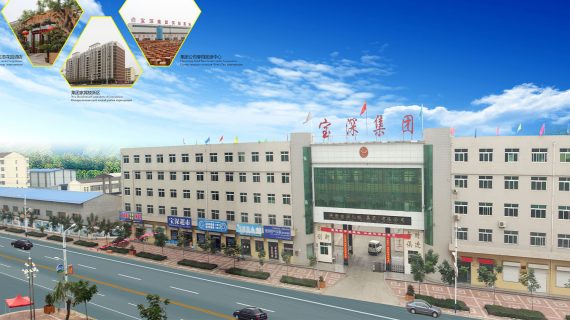 china new New energy electric car