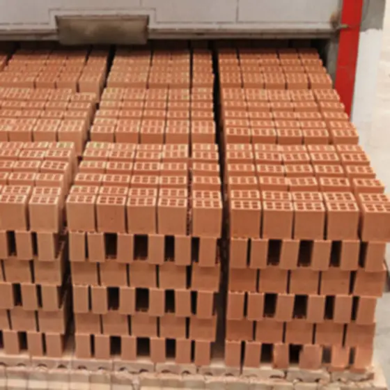 2022.8 HAINNAN province fully automatic clay brick making factory with tunnel kiln 2022.8 HAINNAN province fully automatic clay brick making factory with tunnel kiln