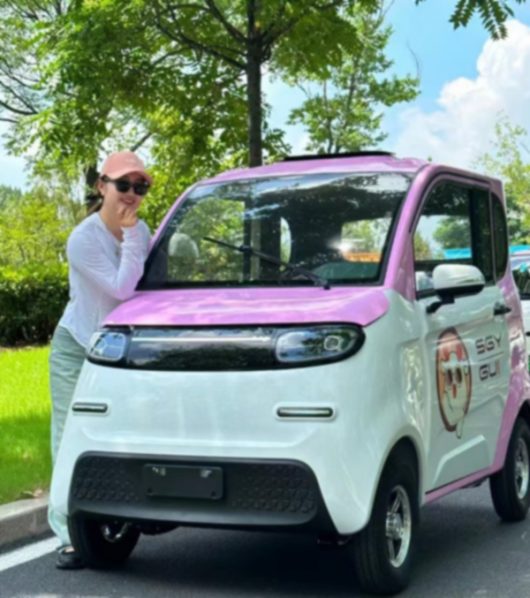 New energy electric truck china